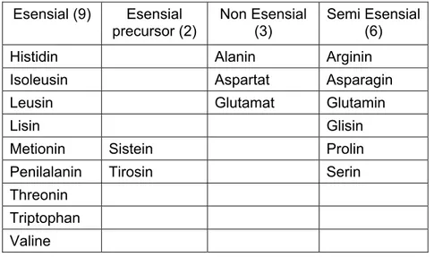 Tabel 2.2: Klasifikasi dan Jenis Asam Amino  Esensial (9)  Esensial  precursor (2)  Non Esensial (3)   Semi Esensial (6)  