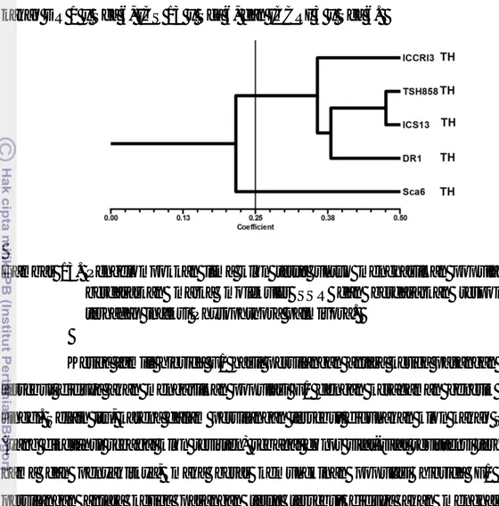 Gambar  13. Pengelompokkan lima klon tetua untuk menghasilkan populasi F1  berdasarkan marka molekuler SSR dan berdasarkan responsnya  terhadap infeksi Phytophthora palmivora