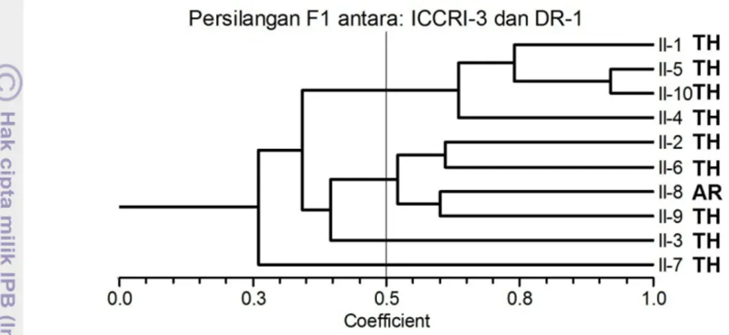 Gambar 16. Pengelompokka n aksesi hasil persilangan  antara klon ICCRI-3 x DR- DR-1 berdasarkan marker molekuler SSR dan berdasarkan responsnya  terhadap infeksi Phytophthora palmivora