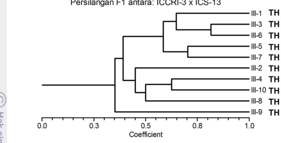 Gambar 17. Pengelompokkan aksesi hasil persilangan antara klon ICCRI-3 x ICS- ICS-13 berdasarkan marker molekuler SSR dan berdasarkan responsnya  terhadap infeksi Phytophthora palmivora