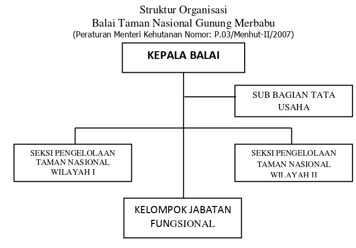 Gambar 4.1. Struktur organisasi Balai TNGMb 