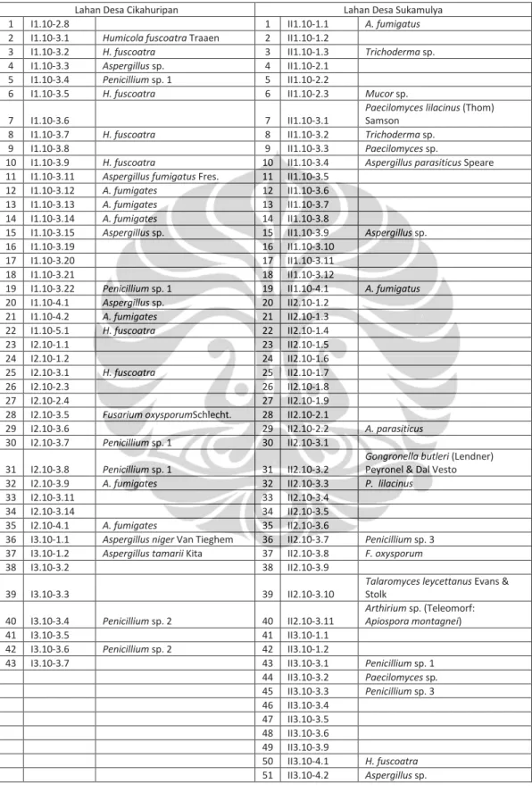 Tabel I.1. Isolat kapang rizosfer yang diisolasi dari lahan pertanian konvensional