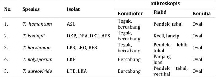 Tabel 3. Spesies Trichoderma sp. dari 11 isolat berdasarkan bentuk konidiofor, fialid dan konidia 