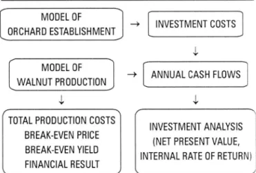 Figure  1:  Calculation of costs  and  economic  indicators  with the  simulation  model