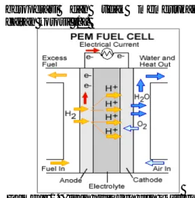 Gambar 1. Aliran hidrogen dan oksigen  di dalam sel bahan bakar PEM  Direct  methanol  fuel  cell  (DMFC)  digerakkan  menggunakan  methanol  murni,  yang dicampur  dengan  uap dan  dialirkan  secara  langsung  ke  anoda  daripada  sel  bahan  bakar