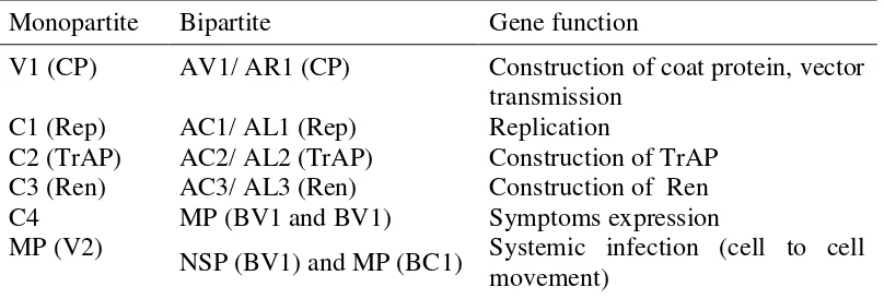 Table 1  Genome organization of  Begomovirus (Hull 2002)a 