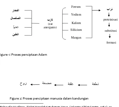 Figure 2: Proses penciptaan manusia dalam kandungan 