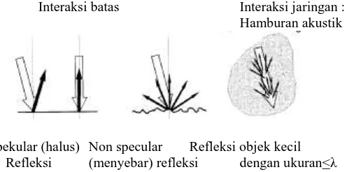 Gambar 2.15.Interaksi gelombang ultrasound yang menghasilkan proses hamburan (scattering) (Bushberg, 2002) 