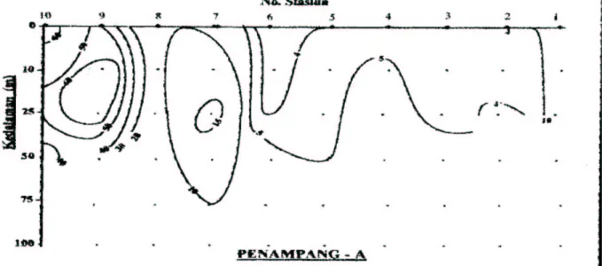 Gambar 2. Sebaran vertikal jumlah sel bakteri (x 106/ml)  di perairan timur Kalimantan, Agustus-September 1999