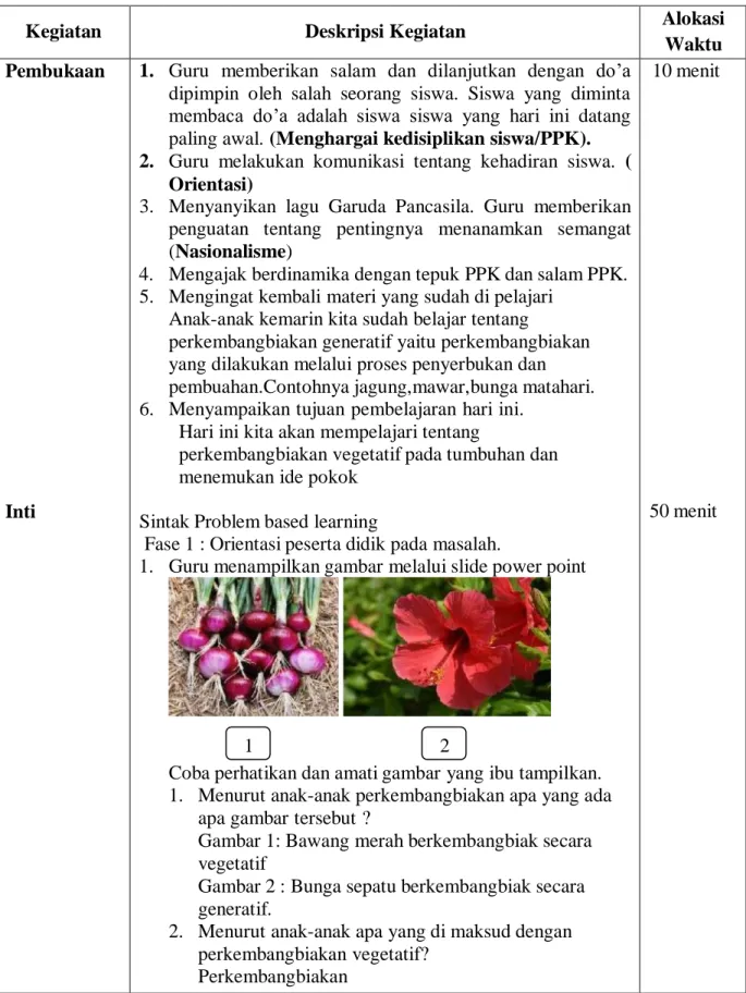 Gambar 1: Bawang merah berkembangbiak secara  vegetatif 