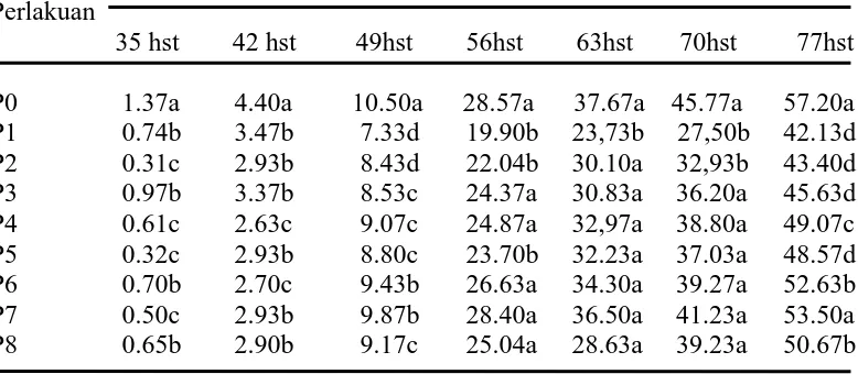 Tabel 2. Rataan Intensitas Serangan (%) Puccinia polysora U. untuk setiap waktu pengamatan