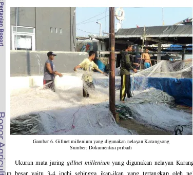 Gambar 6. Gillnet millenium yang digunakan nelayan Karangsong 