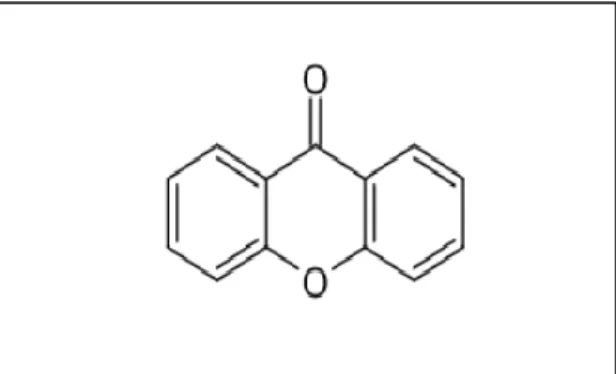 Gambar 2.3. Struktur Senyawa Xanton (Miryanti et al., 2011) 