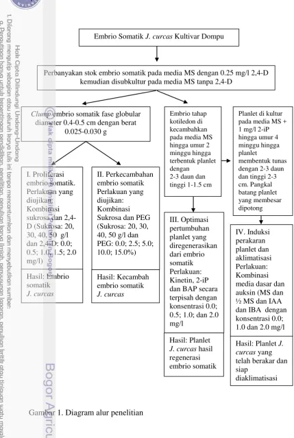 Gambar 1. Diagram alur penelitian 