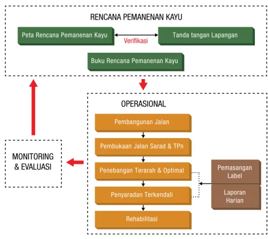 gambar 5: Prosedur kerja pemanenan kayu dengan teknik RIL (Sumber : TFT, 2011) 