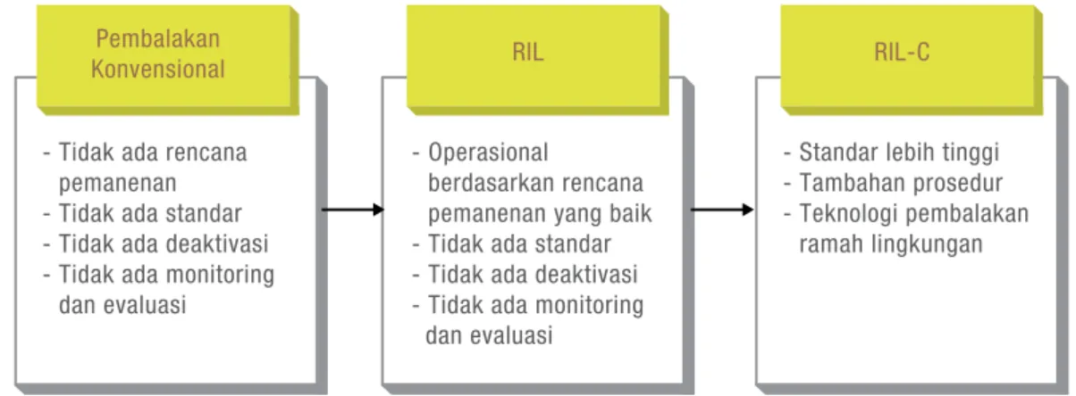 Tabel 3 berikut ini menjelaskan perbedaan standar/target antara praktek pembalakan dengan RIL dan RIL C.