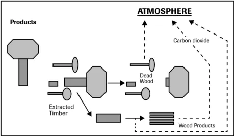 gambar 8: Perubahan Stok Karbon di atmosfer (Rusolono,T. 2009)