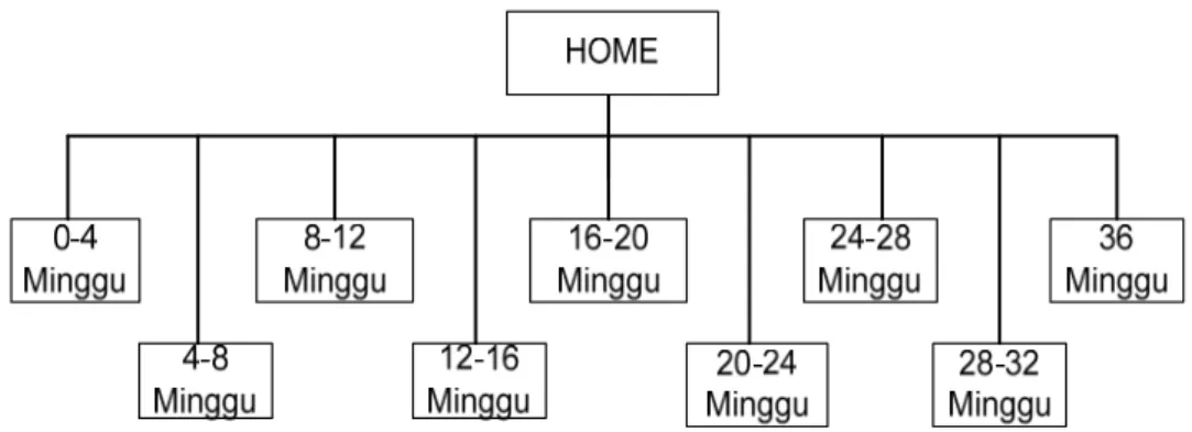 Gambar 3.1 Struktur Navigasi 