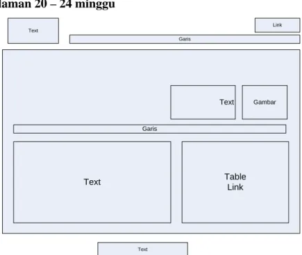 Gambar 3.8 Rancangan Tampilan 20 – 24 minggu 