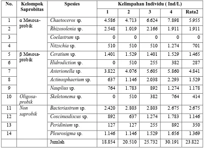 Tabel 10. Data Kelimpahan Plankton  di Stasiun III (Individu/L)  