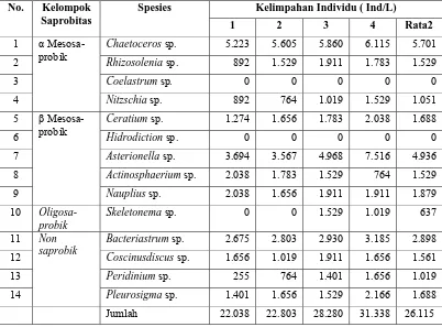 Tabel 11. Data Kelimpahan Plankton  di Stasiun IV (Individu/L)  
