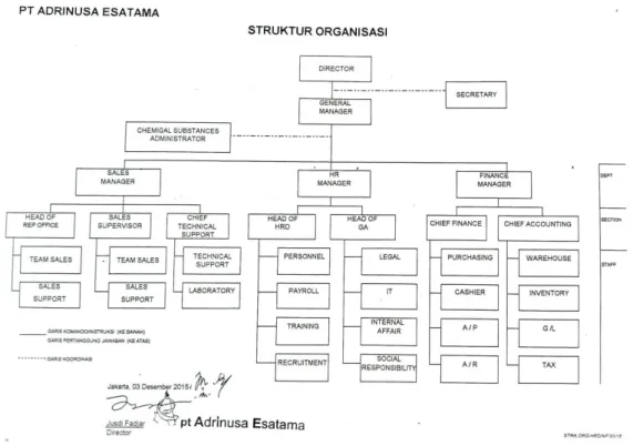 Gambar II.1 Struktur Organisasi PT Adrinusa Esatama  