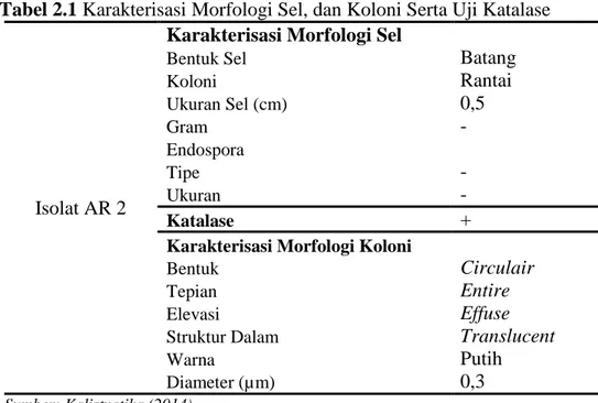 Tabel 2.1 Karakterisasi Morfologi Sel, dan Koloni Serta Uji Katalase 