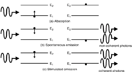 Gambar 2.4. Mekanisme rekombinasi yang berbeda ditemukan dalam sistem dua  level energi (H