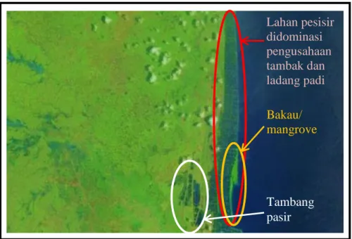 Gambar 1.  Cuplikan Citra Landsat OLI8 Path/Row 123/64 Tahun 2013 
