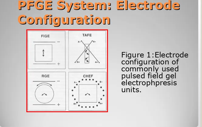 Figure 1:Electrode configuration of 