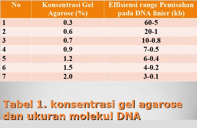 Tabel 1. konsentrasi gel agarose Tabel 1. konsentrasi gel agarose dan ukuran molekul DNA