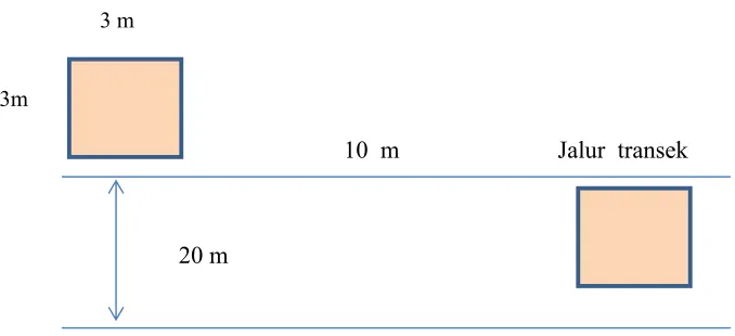 Gambar 6  Desain plot analisis vegetasi ukuran (3 x 3) m²