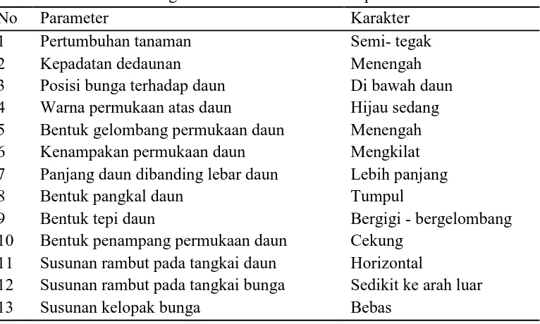 Gambar 3. Karakter Morfologis Tanaman Stroberi Genotip 3 : (a) tanaman stroberi, (b) daun, (c) bunga, (d) buah, (e) daging buah 