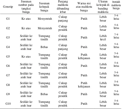 Tabel 1. Karakter Morfologis Tanaman Stroberi 