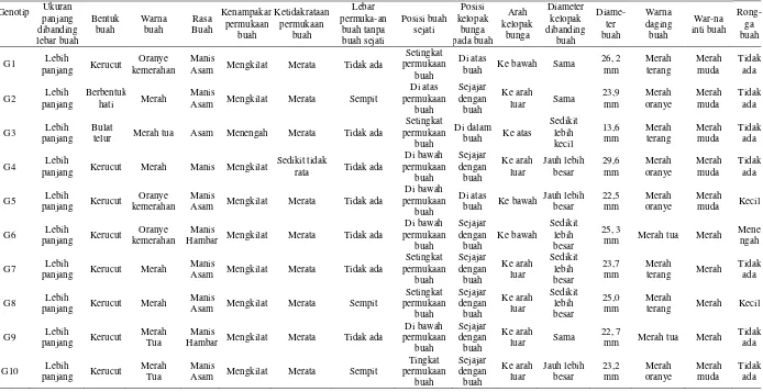 Tabel 4. Karakter Morfologis Buah Stroberi 