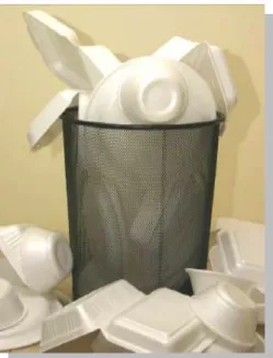 Gambar 5 Styrofoam 
