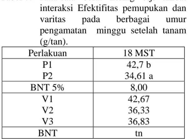Tabel  7. Rata-rata berat kering biji akibat  interaksi Efektifitas pemupukan dan  varitas pada berbagai umur  pengamatan  minggu setelah tanam  (g/tan)