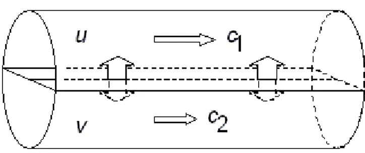 Gambar 2. Model dua kanal dengan interaksi 