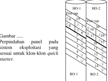 Gambar .... Perpindahan panel pada sistem eksploitasi yang  sesuai untuk klon-klon slow starter