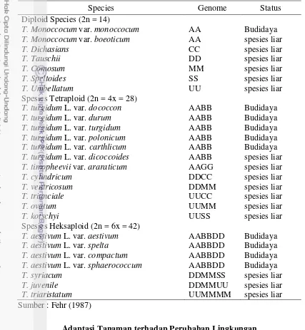 Tabel 1. Klasifikasi Beberapa Spesies Triticum Berdasarkan Kelas Ploidi 