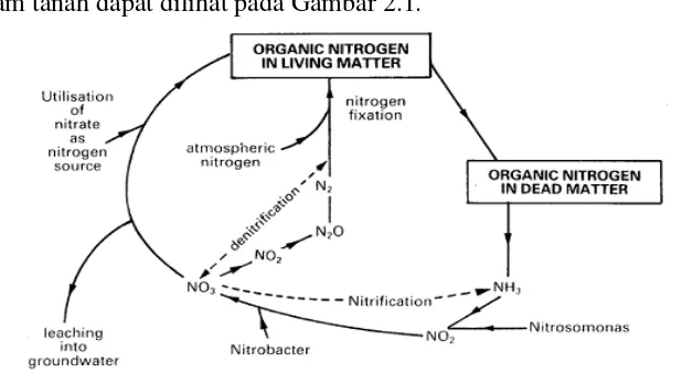 Gambar 2.1 Siklus Nitrogen 