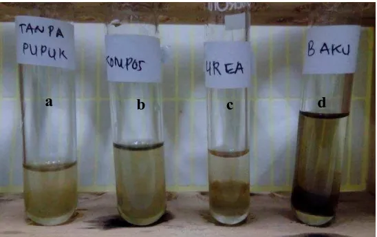 Gambar 5. Uji kualitatif nitrit dengan penambahan pereaksi Asam 