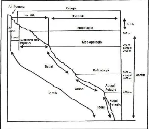 Gambar  2-2 Zonasi wilayah pesisir dan lautan secara horisontal dan vertikal (Nyabakken, 1992) 