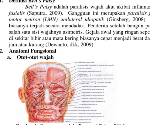 Gambar 1. Otot- otot wajah (Putz and Pabst, 2006) 