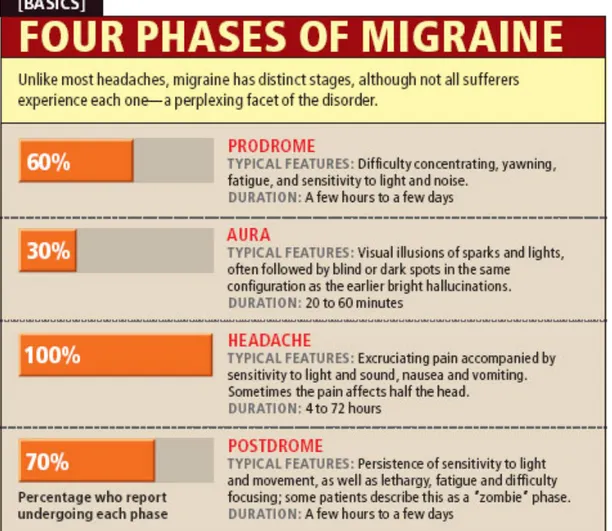Gambar 2.4. Fase Migren 