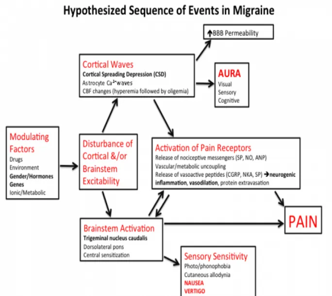 Gambar 2.2. Mekanisme Migren 