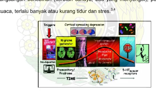 Gambar 2.4. Serangan migren  28