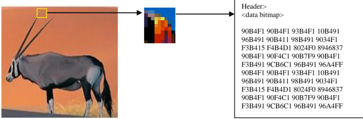 Gambar 2.3 ContohCover Image dengan Nilai Piksel 