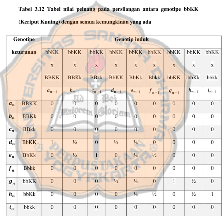 Tabel 3.12 Tabel nilai peluang pada persilangan antara genotipe bbKK  (Keriput Kuning) dengan semua kemungkinan yang ada 