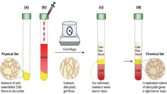 Gambar 1. Skema pemisahan komponen sel – sel dari cairan darah  Sumber: (Kushan et al., 2012) 